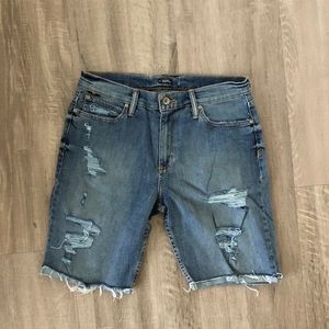 BDG Mens Blue Jean Shorts